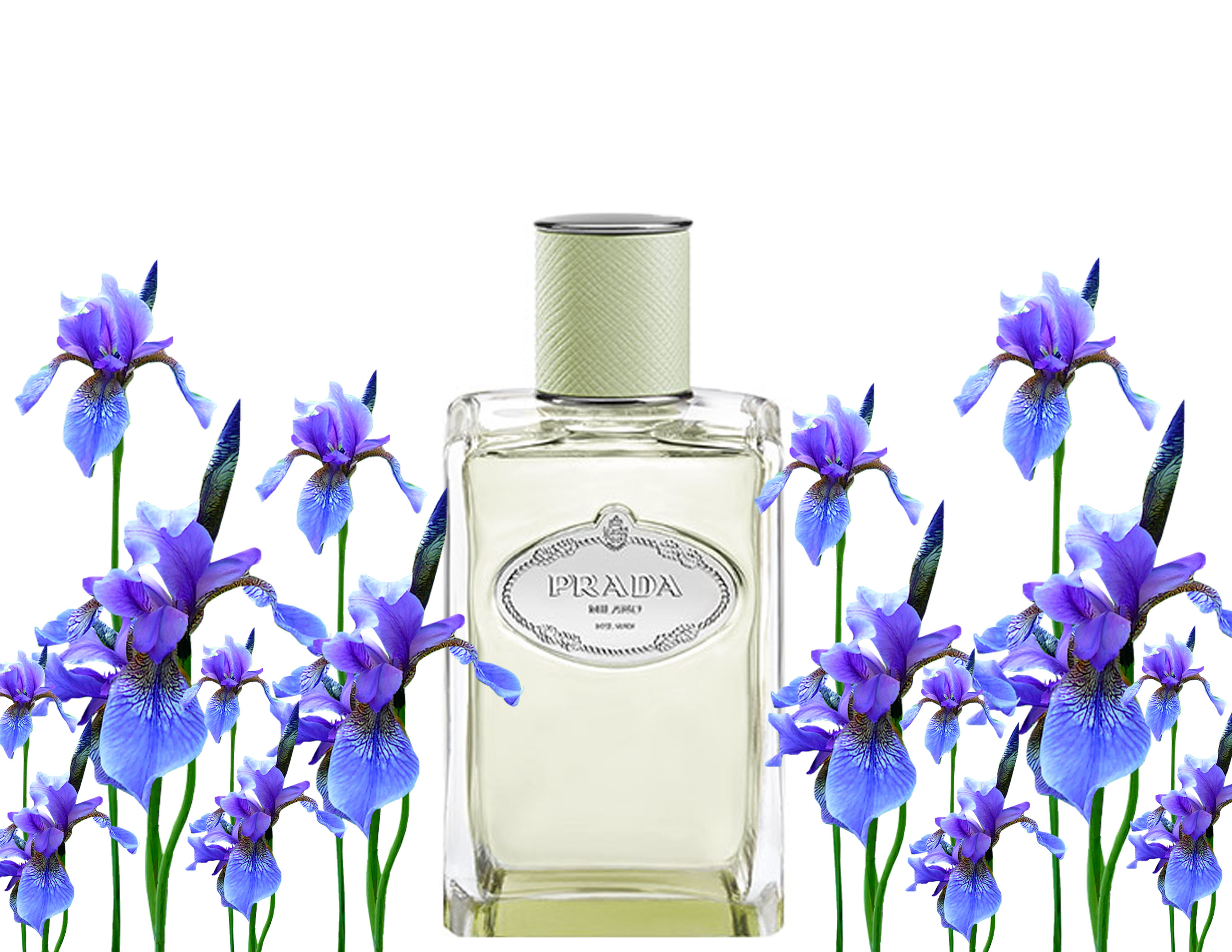 Nước hoa Prada Les Infusions Iris