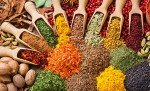 Phân biệt các nhóm hương của nước hoa.