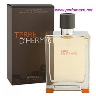 Nước hoa Terre D'Hermes EDT 100ml